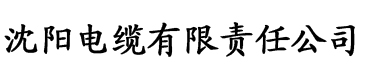 女神宿舍的管理员无广告电缆厂logo